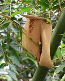 Jerusalem-Botanical-Garden_18-3-2025 (94).JPG