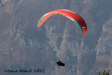 paraglider