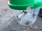 Pheromone trap with a lure in this case for Saturnia pavonia 