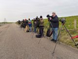 Happy twitchers