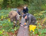 Week 46 - Andrews Wood Volunteers.jpg