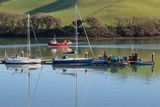 Week 01 - Boats in Salcombe Harbour.jpg