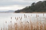 Week 05 - Dull Day at Slapton Ley #2.jpg