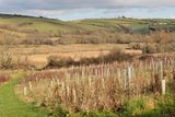 Week 09 - New Devon Wildlife Trust site at Aveton Gifford #3.jpg