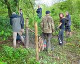 Week 19 - Andrews Wood Fencing Team.jpg