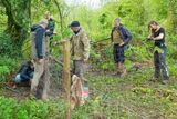 Week 19 - Andrews Wood Fencing Team #2.jpg