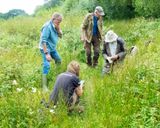 Week 28 - Andrews Wood Plant Survey #2.jpg