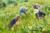 Week 28 - Andrews Wood Plant Survey #3.jpg