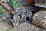 Week 44 - Tree Felling in Aveton Wood #3.jpg