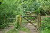 Week 26 - Watkins Wood Gate & Bridge.jpg