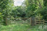 Week 27 - Andrews Wood Gate.jpg
