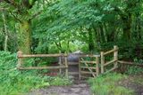 Week 27 - Andrews Wood Gate #2.jpg