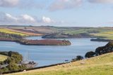 Sheep with a view - from Snapes Path Salcombe 09-10-24.jpg