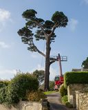 Week 45 - Woodcot tree removal - Salcombe.jpg