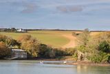 Batson Creek - Salcombe 13-11-24.jpg