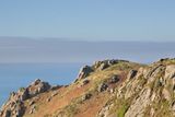 Week 50 - Cliff Path near Middle Soar Malborough.jpg