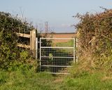 Week 50 - Coast Path Gate near Middle Soar Malborough #2.jpg