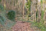 Coast Path Gate near Bar Lodge - Salcombe 22-11-24.jpg