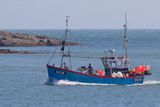 Week 16 - Salcombe Boats - Davrik.jpg