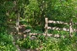 Week 21 - Aveton Gifford - style on woodland path.jpg