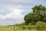 Week 23 - Sunshine & Clouds at Woodleigh Wood.jpg