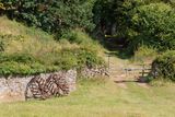 Week 35 - Motherhill Farm Path.jpg