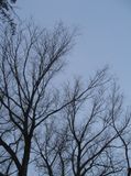 IMG_0626.jpg