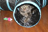 IMG_1035BBB.jpg