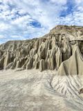 IMG_2545.jpg