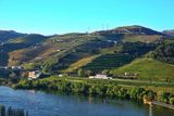 04 Douro Cruise.jpg
