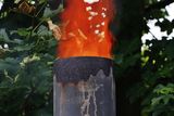 The hotter the flame the better destruction of diseased wood