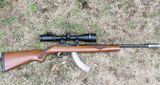 Ruger 1022 rifle, .22lr.