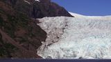 Kenai Fjords Park Cruise