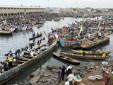 Elmina Harbor