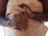 Elephant dung