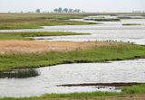 Chobe landscape