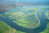 Okavango Delta