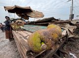 Jackfruit