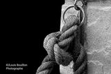 Knot