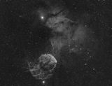 IC444 IC443 Ha