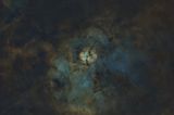 SH2-124 starless
