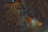 Cone Nebula area in SHO 