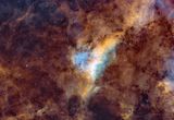 The Longhorn Nebula LBN 251 area in Cygnus SHO