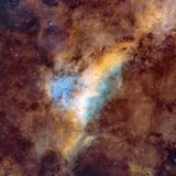 The Longhorn Nebula LBN 251 area in Cygnus SHO (center crop)