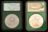 2015_P_Silver_Eagle_slabbed.jpg