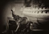 DSF3785_Mono