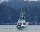 WHALE AND ORCA RESEARCH VESSEL