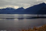 Pitt Meadows