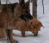 Sasha and Findlay - the old days