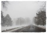 A foggy day